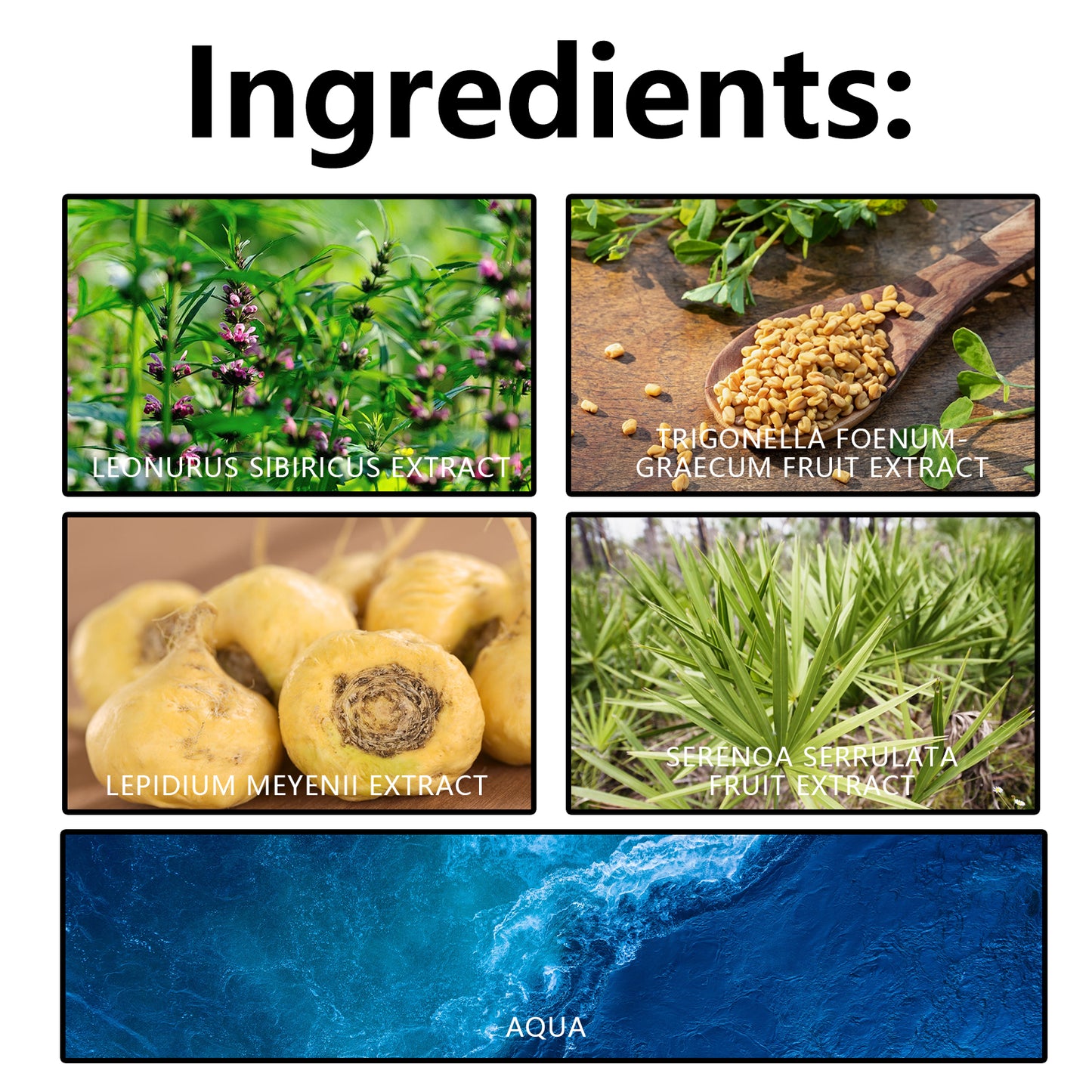 West&Month Curve Enhancing Cream, Sculpting The Hips And Firming The Curves Of The Body